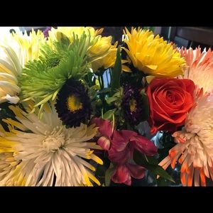 Meet your Posher, Stacey